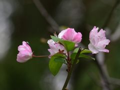 -共青国家森林公园-售票处