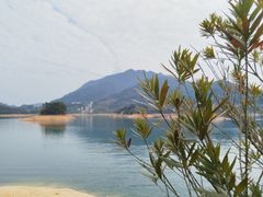 -广州市流溪河国家森林公园
