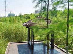 -四里河滨水生态公园