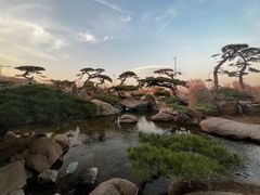 -罗红摄影艺术馆