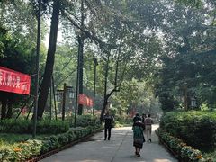 -房湖公园