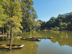 -深圳仙湖植物园