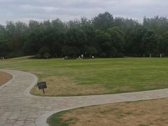 -合肥滨湖国家森林公园