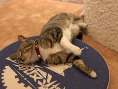 -逃脱反斗城沉浸剧情密室(北京路店)