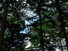 -洛阳白云山景区