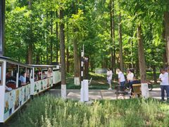 -黄海国家森林公园