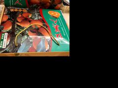 -鲜丰水果(番禺路店)