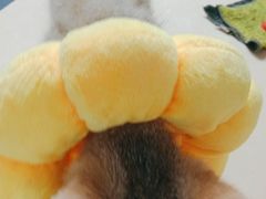 -宠颐生宠物医院外科·内科·皮肤科·影像科(石龙店)