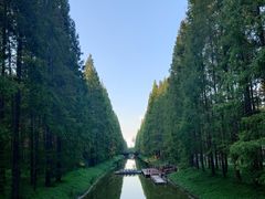 -黄海国家森林公园