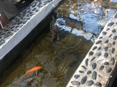 -丽江庭院之爱在路上(西单店)