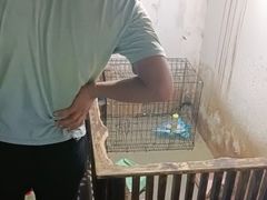 -嘉兴海底世界