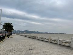 -野狸岛