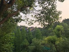 -裸心谷·裸心味餐厅