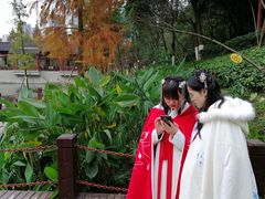 -重庆彩云湖湿地公园