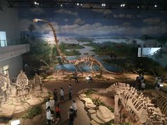 -自贡恐龙博物馆