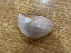 -醉仙烩面馆
