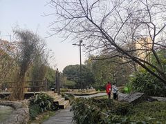 -成都市活水公园