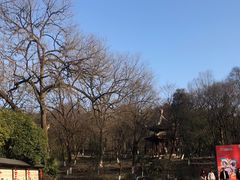 -善卷洞风景区