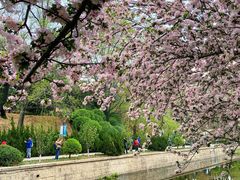 -元大都城垣遗址公园