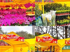 -文华公园(禅城区)