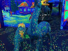 -天津梵高星空艺术馆(天河城旗舰店)