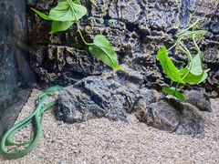 -海南热带野生动植物园