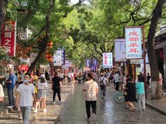 -清真·宏顺祥卤汁凉粉(大皮院店)