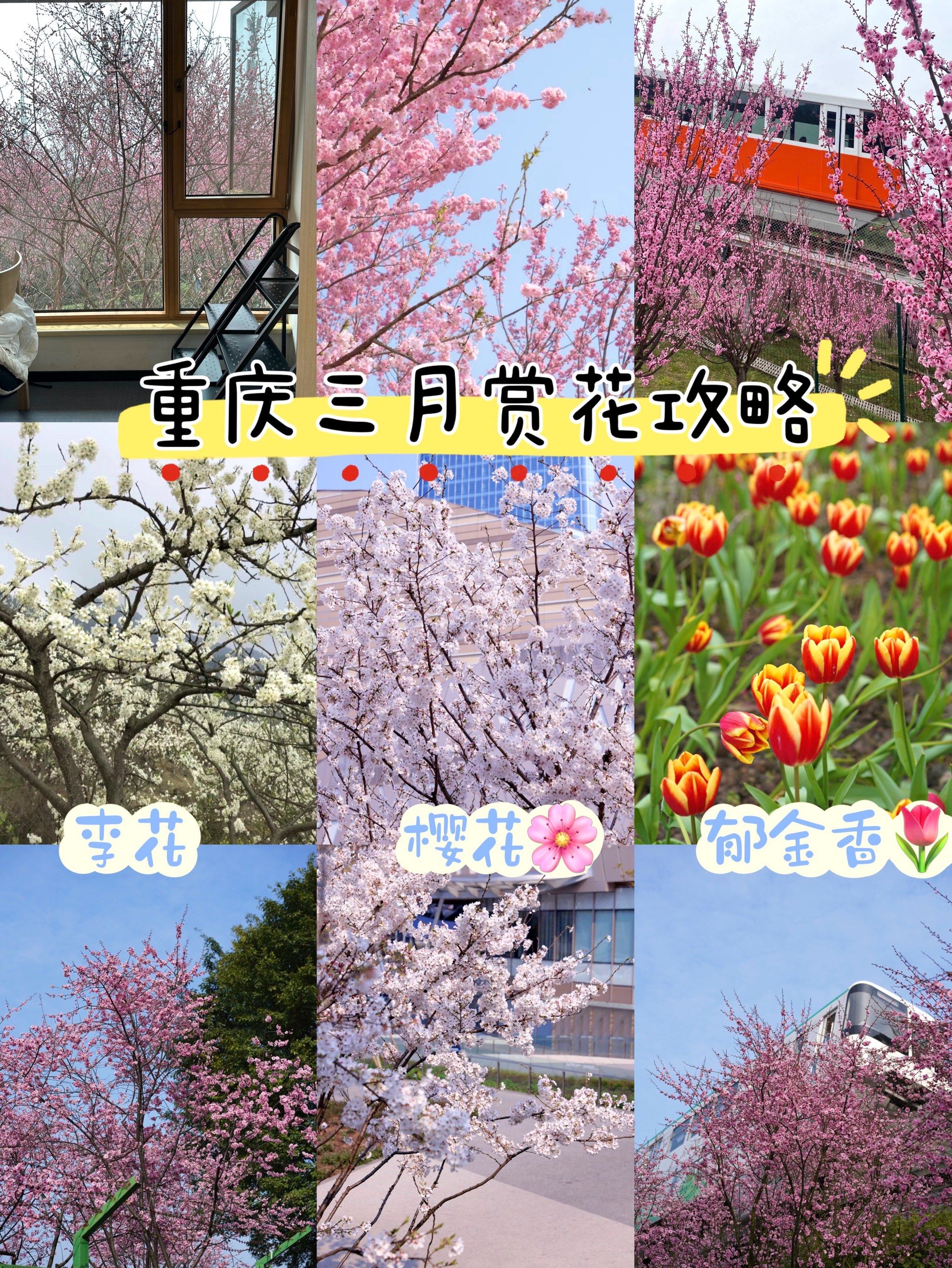 重庆三月赏花好去处!欢迎补充!