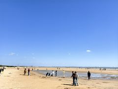 -日照海滨国家森林公园