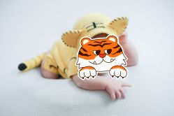 -郑氏妈妈催乳通乳产后恢复中心(海珠店)