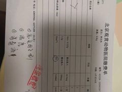 -北京观赏动物医院·24小时大型综合·猫专科·异宠专科