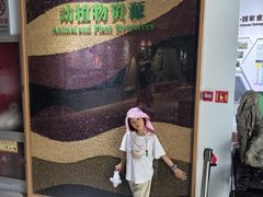 -房山世界地质公园博物馆