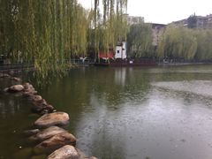 -莲湖公园
