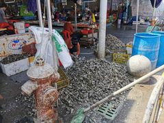 -霞涌市场海鲜摆卖区