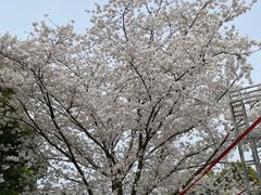 -凤凰沟景区