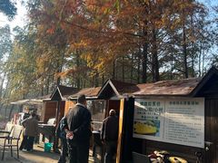 -上海海湾国家森林公园