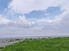 -碧海金沙