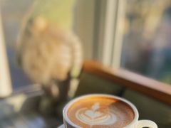 -蝶舍·MAISON PAPILLON