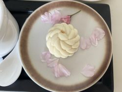 -童谣里医疗级月子中心(独栋湖景店)