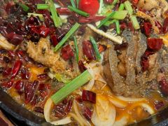 -老板恋上鱼(恒隆广场店)