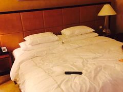 -上海波特曼丽思卡尔顿酒店