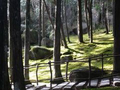 -玉苍山国家森林公园