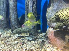 景点-福州罗源湾海洋世界旅游区