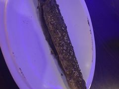 秋刀鱼-老二园林烧烤(金园店)