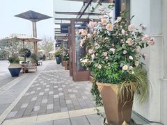 -比斯特上海购物村精品奥特莱斯
