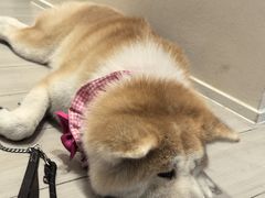 -YCHL Studios健身工作室(市二宫店)