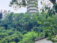 -深圳国际园林花卉博览园