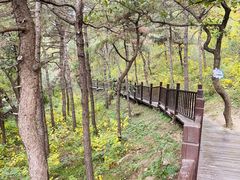 -北京十三陵国家森林公园蟒山景区