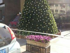 -小白楼1902欧式风情街