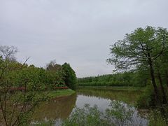 -上海海湾国家森林公园